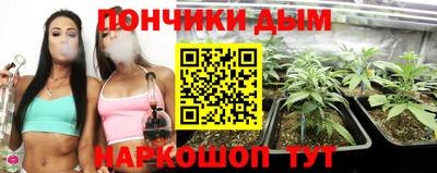 спиды Шебекино