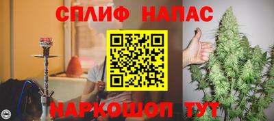 спиды Шебекино