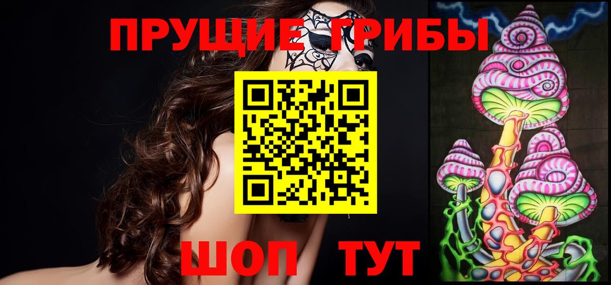 Псилоцибиновые грибы мицелий Мценск